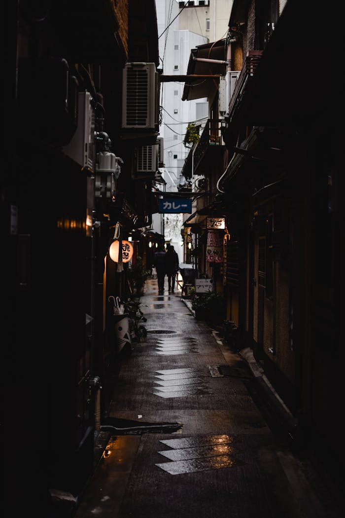 Dimly lit alleyway in Tokyo with silhouettes, showcasing urban Japanese atmosphere.